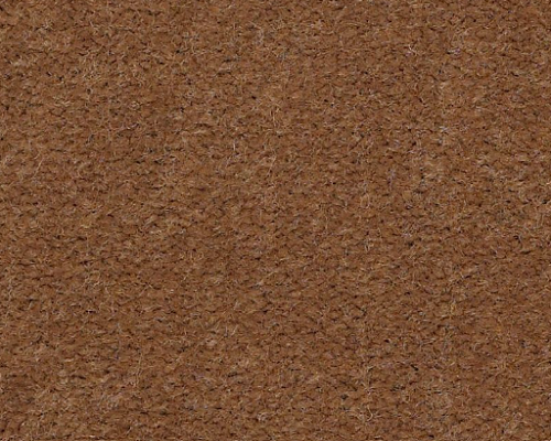 Philadelphia Commercial Emphatic II 30 56721 Camelback Nylon Carpet ...