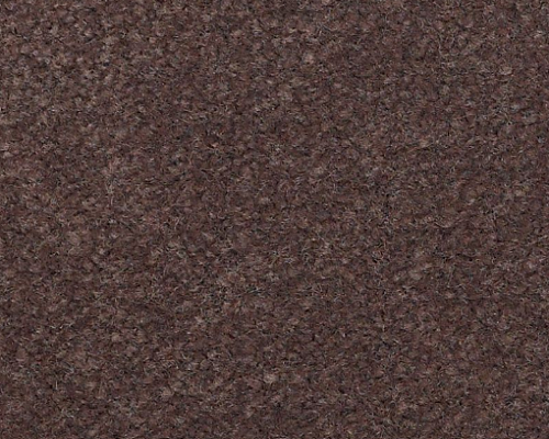 Emphatic Ii Philadelphia Commercial Emphatic II 36 56726 Raisin Nylon Carpet ...