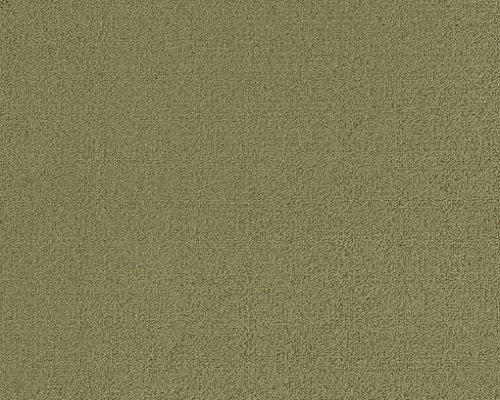 Color Accents BL Fescue 62545