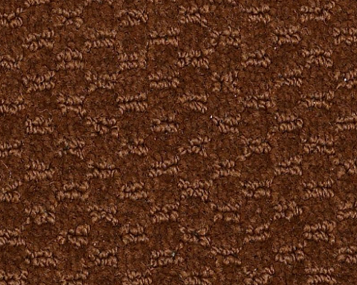 Latest Trend Brown Bear 98751