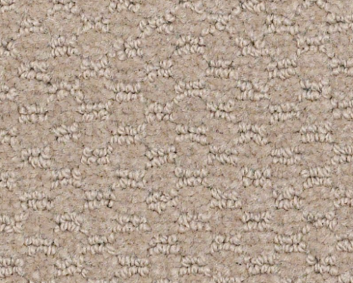 Philadelphia Commercial Latest Trend 98752 Boulder Pattern Nylon Carpet ...