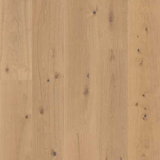 Grand Estate Thorndon Hall AA829-11057