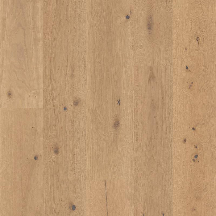 Grand Estate Thorndon Hall AA829-11057