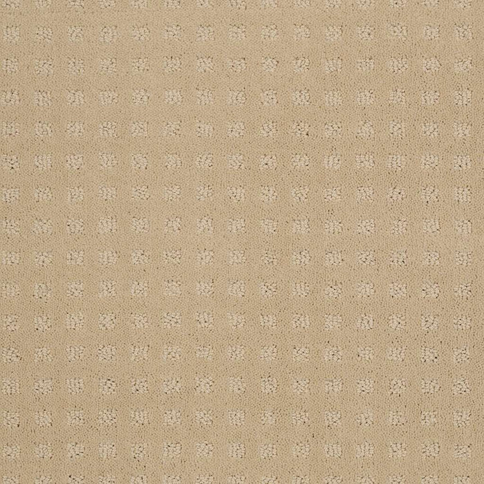 Shaw Nottingham 00101 Abalone Pattern Nylon Carpet | Lowest Price ...