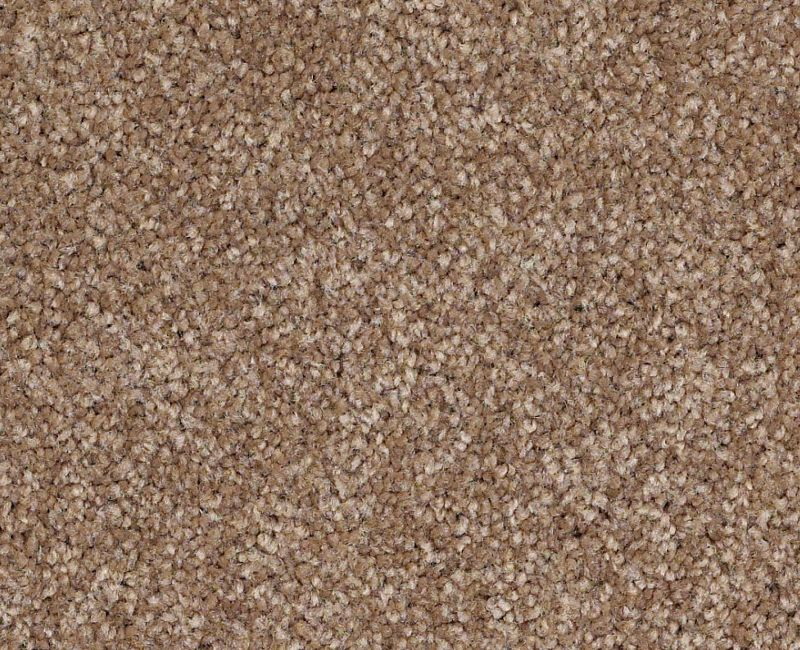 Anso Open II (S) Acorn 00700