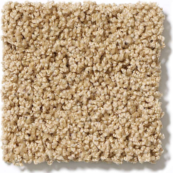 Lonestar Acorn 00223