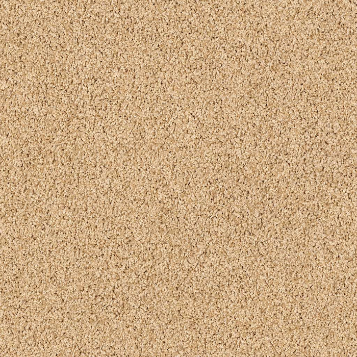 Lonestar Nylon Acorn 00223