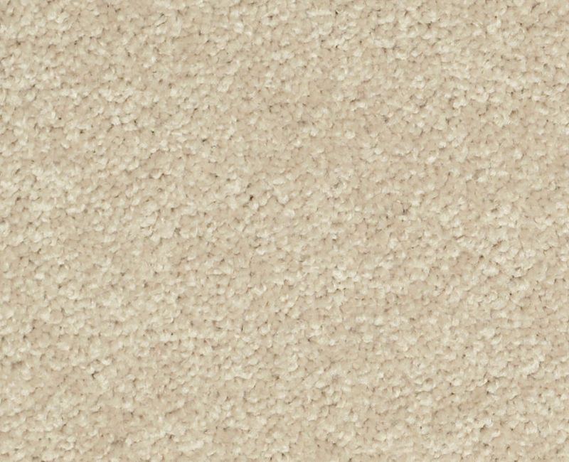 Shaw Main Stay 15' 00102 Agate Textured Polyester Carpet — Stone & Tile ...