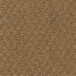 Influencer Classic Update Aged Cork 871