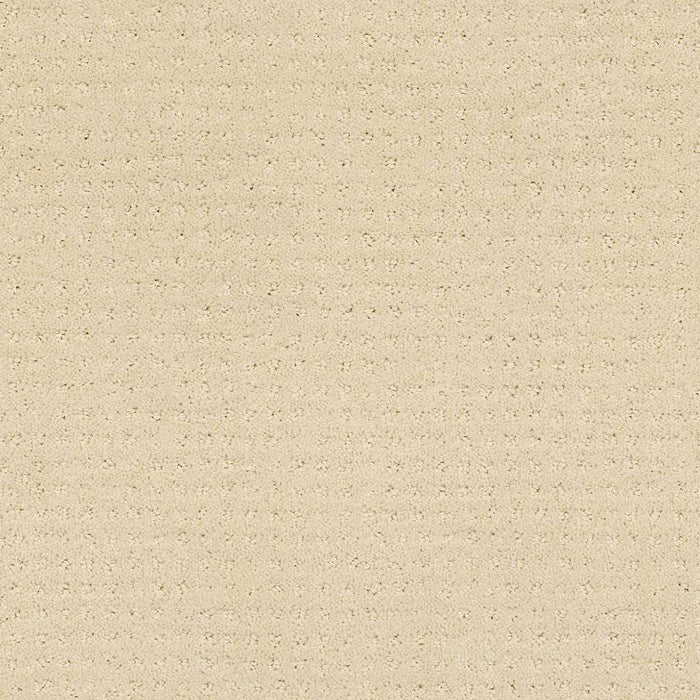 Shaw Floor Studio Style Options Nylon Airy White 00100