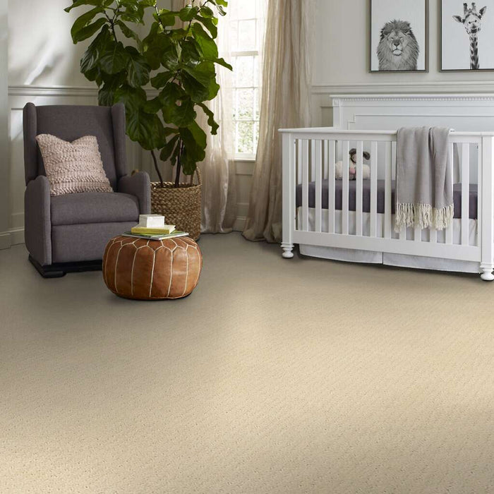 Shaw Floor Studio Style With Ease Airy White 00100 Pattern Nylon