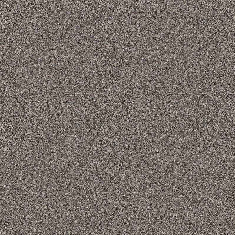 Shaw Dairy Creek 1 00500 Alaskan Air Textured Polyester Carpet — Stone