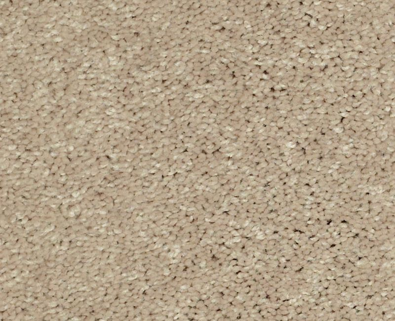 Shaw Main Stay 15' 00106 Almond Bark Textured Polyester Carpet — Stone ...