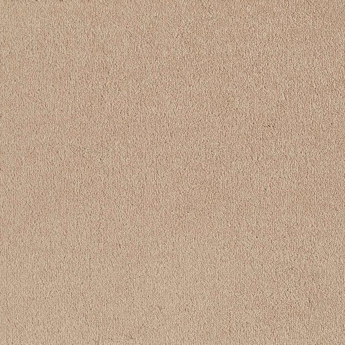 Sandy Hollow I 12' Nylon Almond Flake 00200