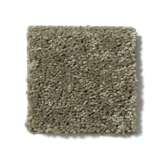 Queen Point Guard 15' Aloe 00300