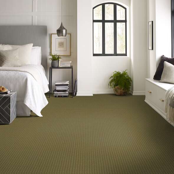 Shaw Floor Studio Style With Ease Aloe Pattern 00300