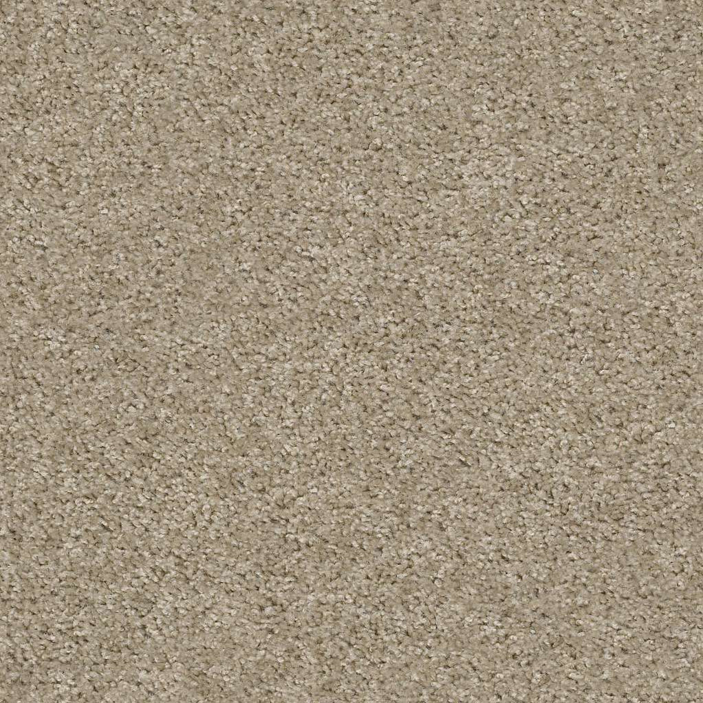 Shaw Max Appeal 00105 Amazing Greige Textured Nylon Carpet — Stone ...
