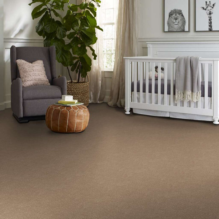 Shaw Floor Studio Home News III 12' Antique Parchment 00102 Textured Polyester