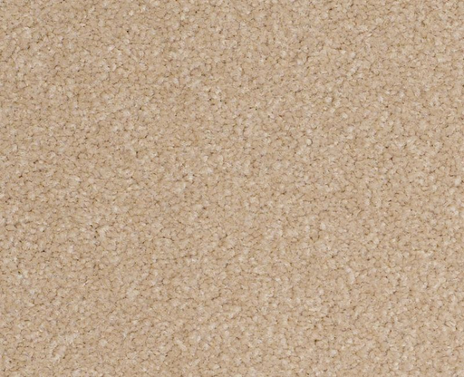 Magic Happens PV III Antique White 00150