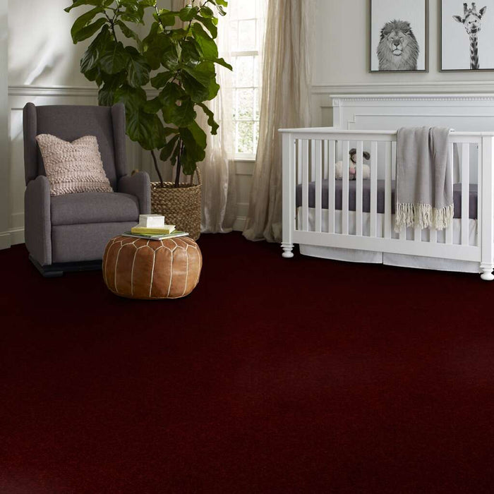 Shaw Floor Studio Home News I 12' Apache Red 00800 Textured Polyester