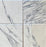 Full Tile Sample - Arabescato Carrara Marble Tile - 12" x 12" x 3/8" Polished