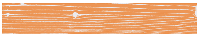 Uonuon Stare Arancio 2273