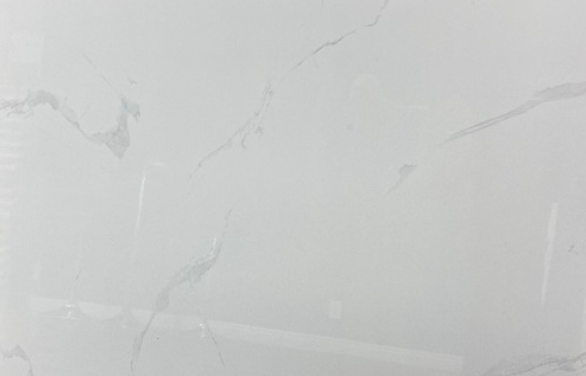 Full Tile Sample - Earth Arctic White Porcelain Tile - 24" x 24" x 1/2" Polished