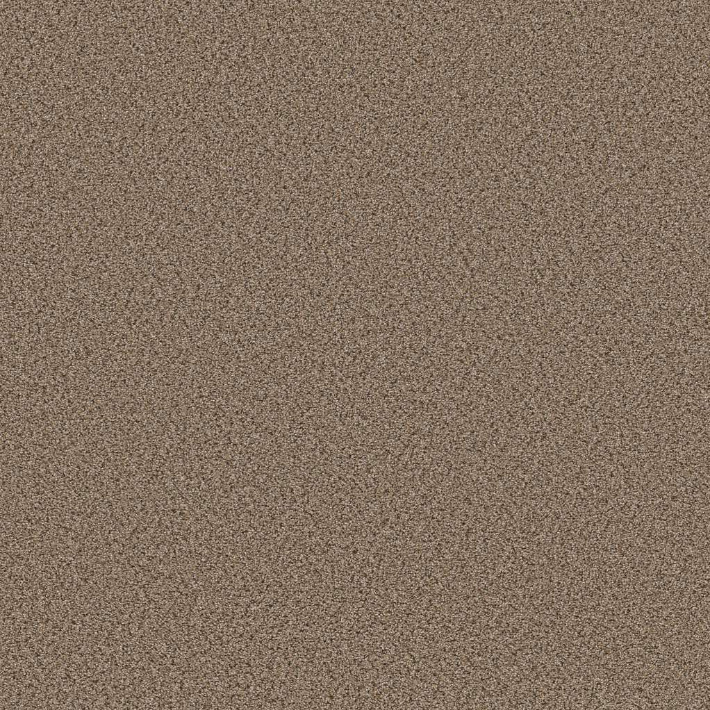 Shaw Foundations Elemental Mix I 00770 Arrowhead Textured Nylon Carpet