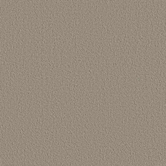 Foundations Aerial View Nylon Artisan Taupe 00700