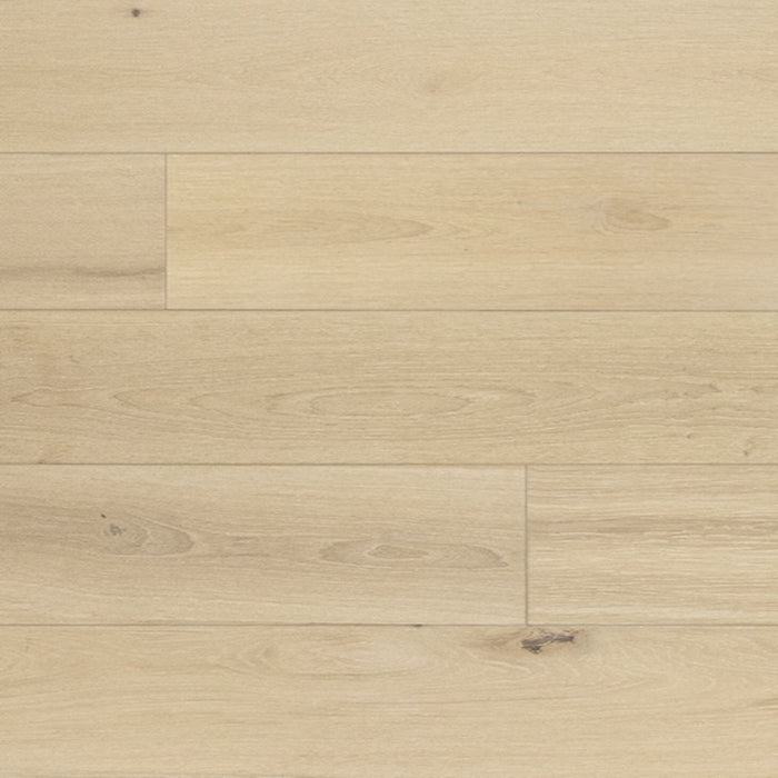 Valaire Nouveau Artois 14823