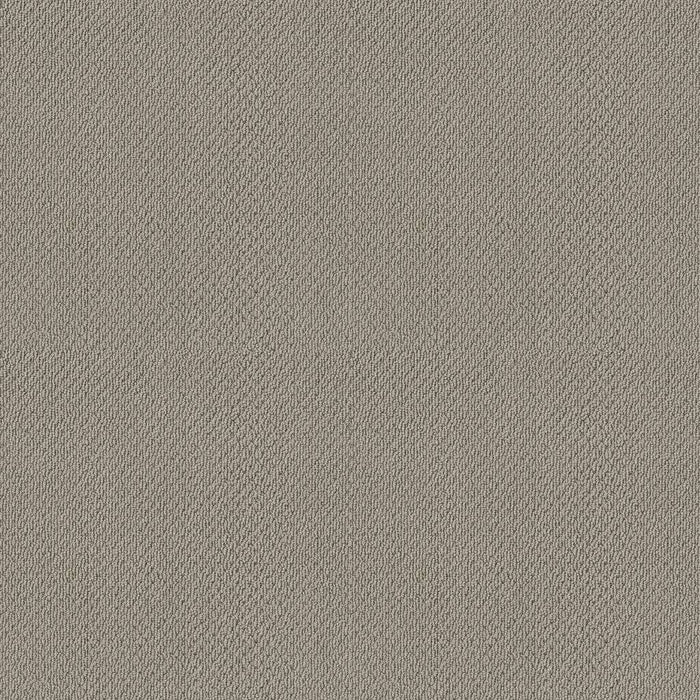 Soft Shades Truly Relaxed Loop Nylon Ash 00550