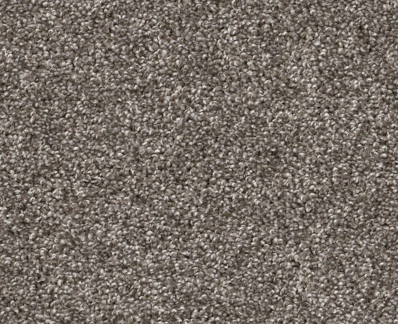 Shaw Yes You Can Ada III 15' 00501 Ashes Textured Polyester Carpet