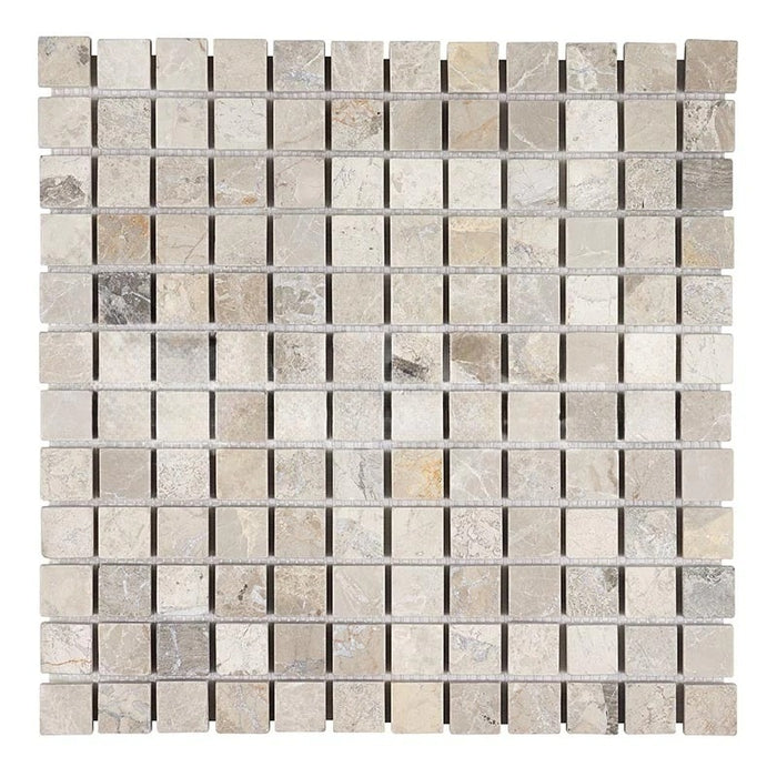 Atlantic  Gray Marble Mosaic - 1" x 1" Tumbled