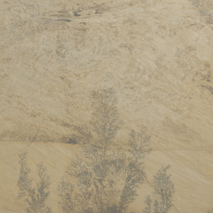 Autumn Mist Natural Porcelain Paver - 12" x 24" x +/- 3/4"