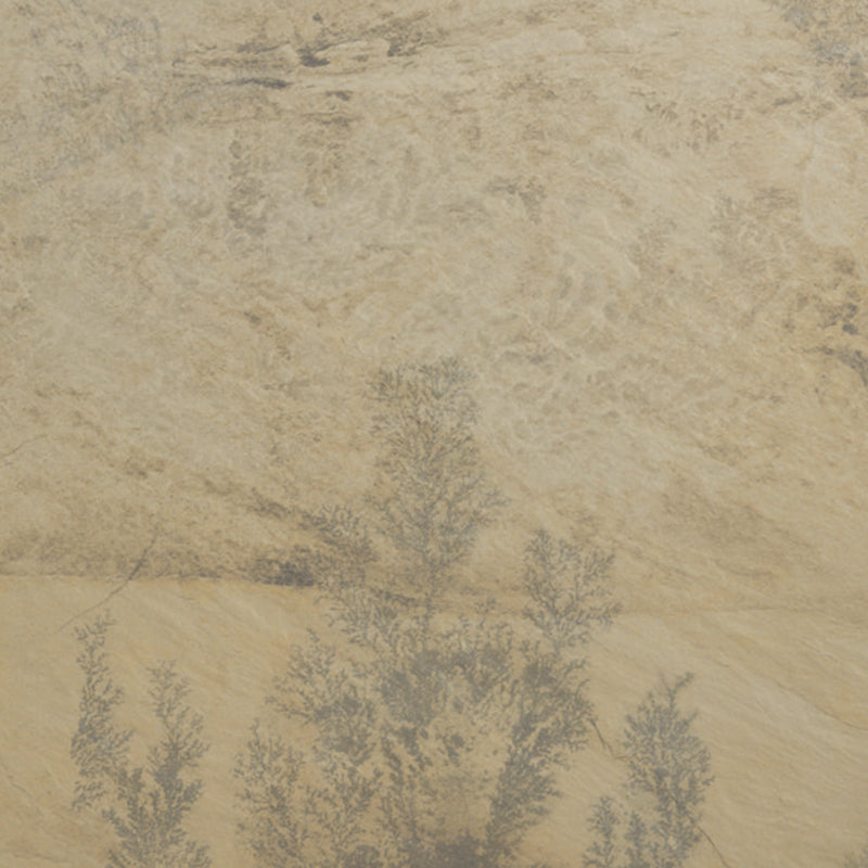 Autumn Mist Natural Porcelain Paver - 12" x 24" x +/- 3/4"