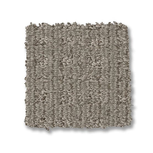Pet Perfect Purrsuasion Backdrop 00572