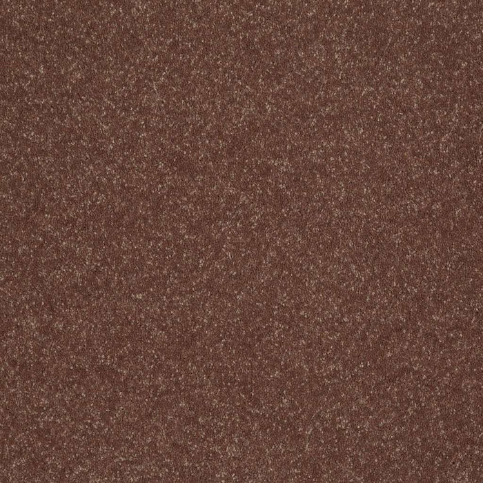 Shaw Floor Studio Home News II 12' Polyester Baked Pretzel 00701