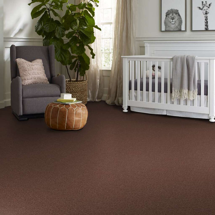 Shaw Floor Studio Home News I 12' Baked Pretzel 00701 Textured Polyester