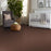 Shaw Floor Studio Home News II 12' Baked Pretzel 00701 Textured Polyester