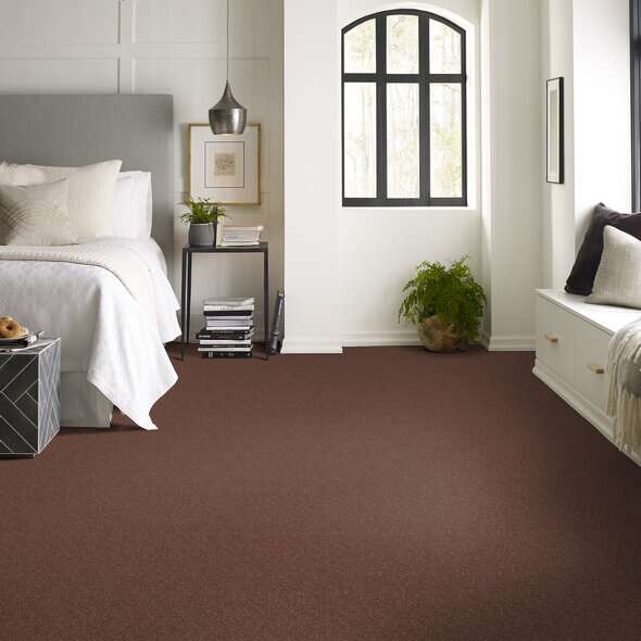 Shaw Floor Studio Home News I 15' Baked Pretzel Textured 00701