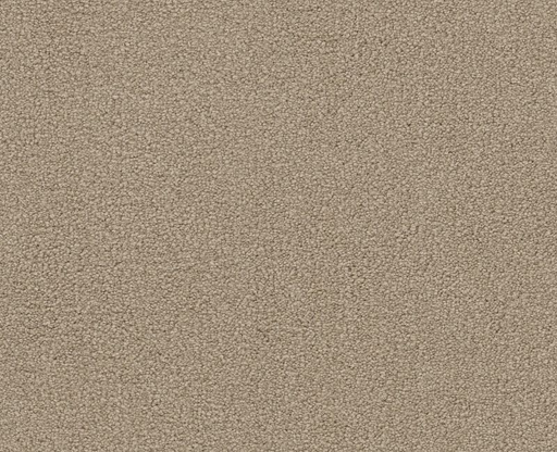 Magic Happens PV III Balanced Beige 00145