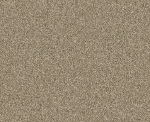 Magic Happens PV IV Balanced Beige 00145