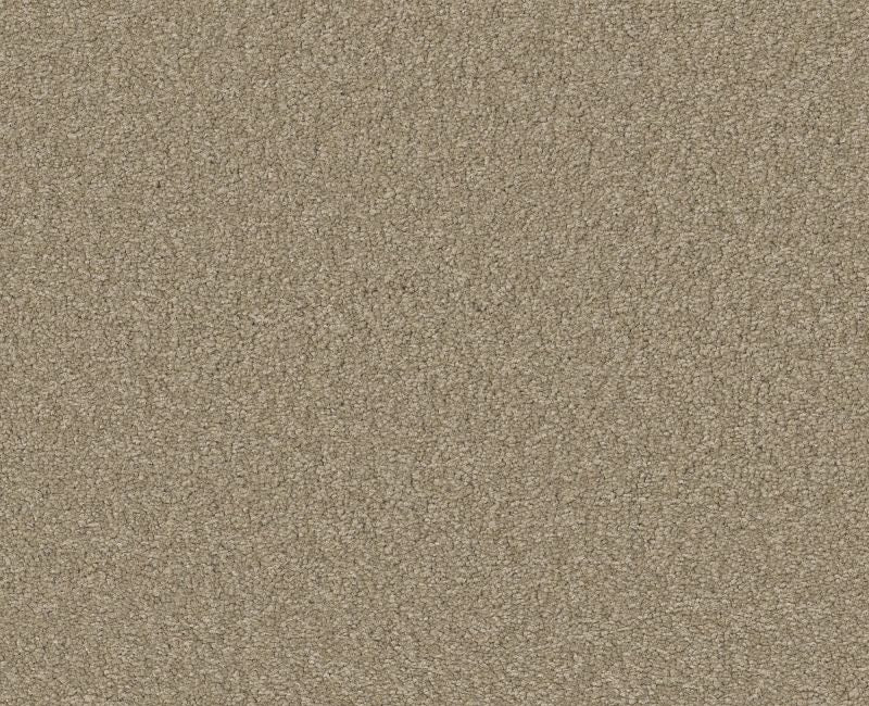 QS580 Balanced Beige 00145