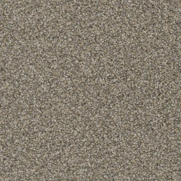 Phenix FloorEver PetPlus Bari 912 Balcony Textured Nylon Carpet — Stone