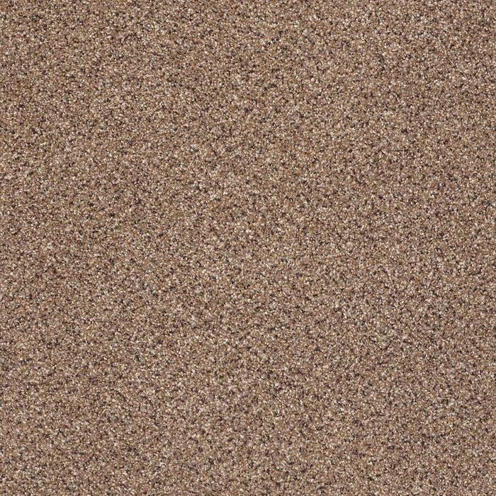 Foundations Take The Floor Accent II Nylon Baltic Brown 00770