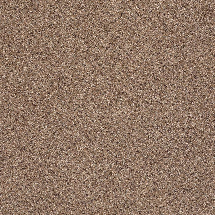 Foundations Take The Floor Accent Blue Nylon Baltic Brown 00770