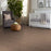 Foundations Take The Floor Accent I Baltic Brown 00770 Loop Nylon