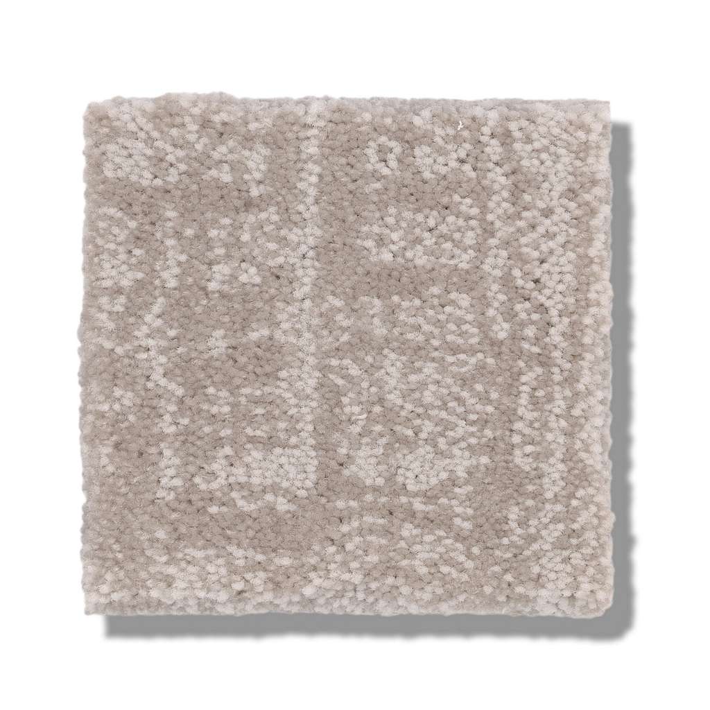 Shaw Caress By Shaw Insightful Journey 00128 Baltic Stone Nylon Carpet