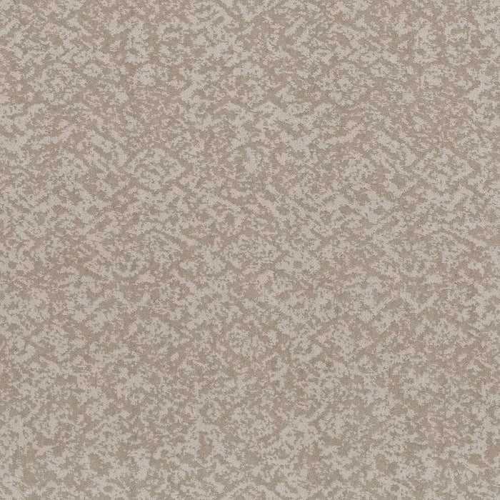 Caress By Shaw Free Spirit Nylon Baltic Stone 00128