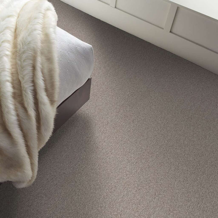 Pet Perfect Influencer Baltic Stone 00700 Textured Polyester